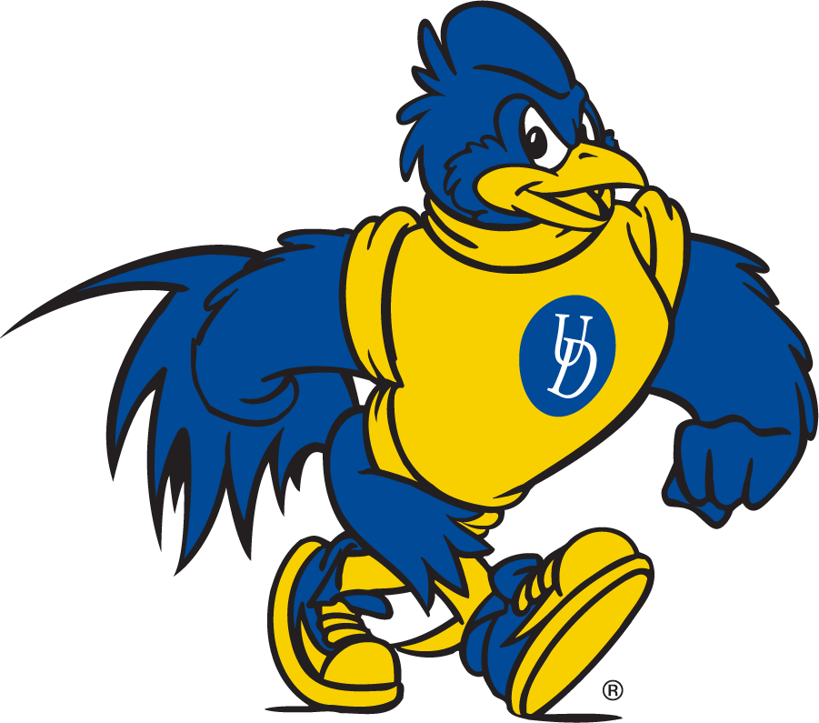 Delaware Blue Hens 2018-Pres Mascot Logo v3 DIY iron on transfer (heat transfer)
